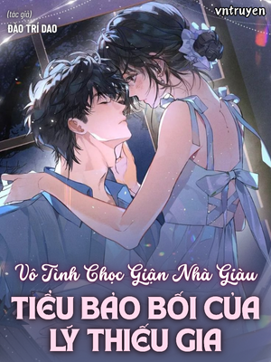 Vô Tình Chọc Giận Nhà Giàu, Tiểu Bảo Bối Của Lý Thiếu Gia